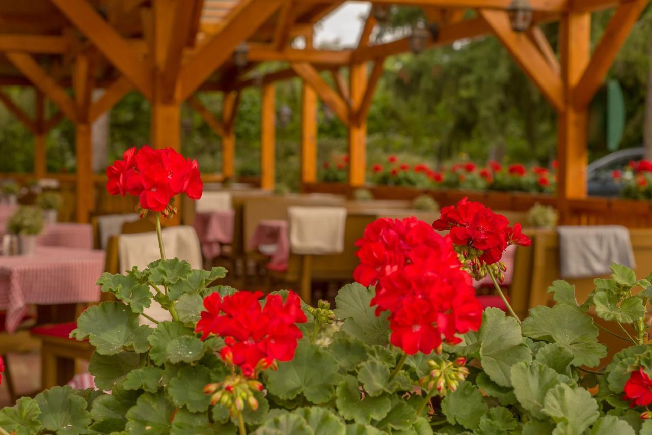 Lipicai Hotel Es Etterem Szilvasvarad Ngoại thất bức ảnh